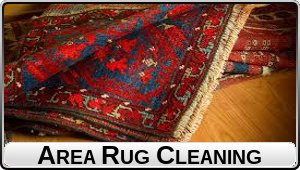 Area Rugs (black text)