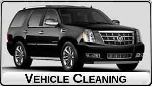 Car Cleaning (black text)