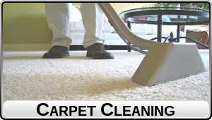 Carpet Cleaning (black text)